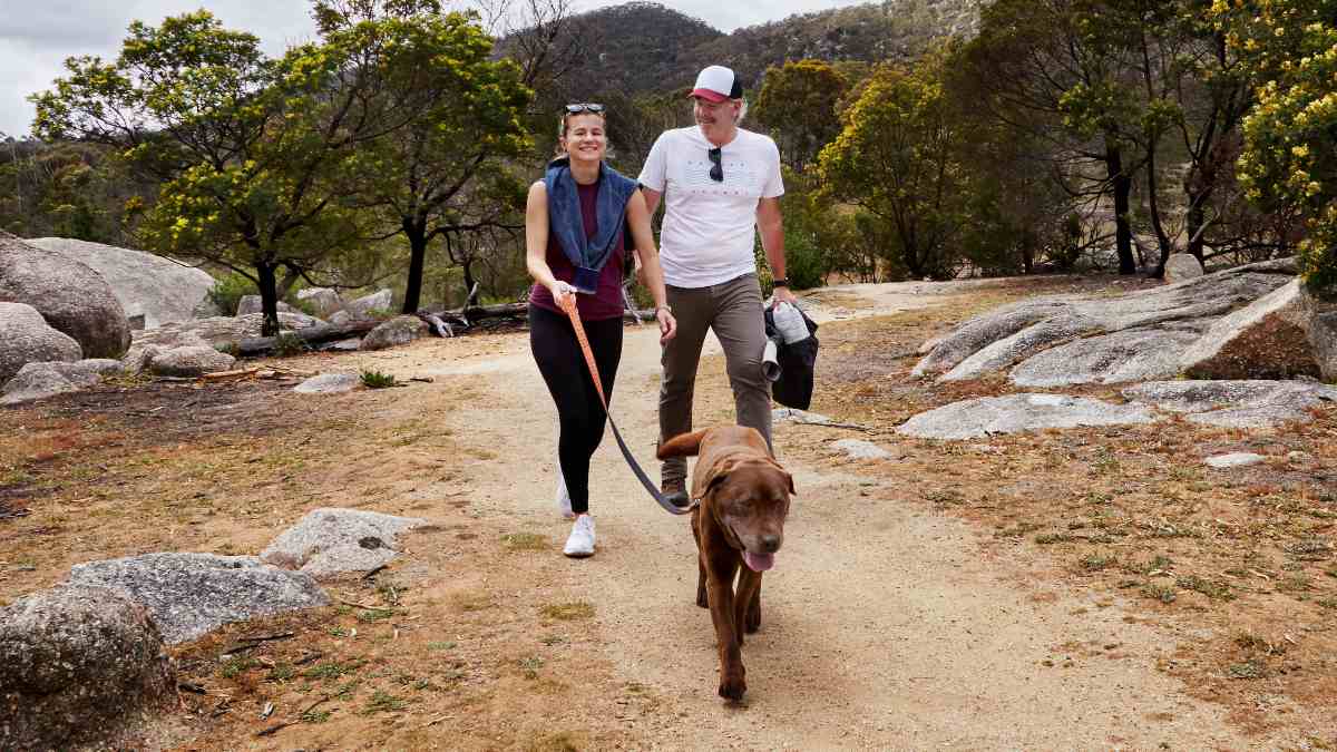 A couple walking their brown labrador retriever on a dirt nature trail