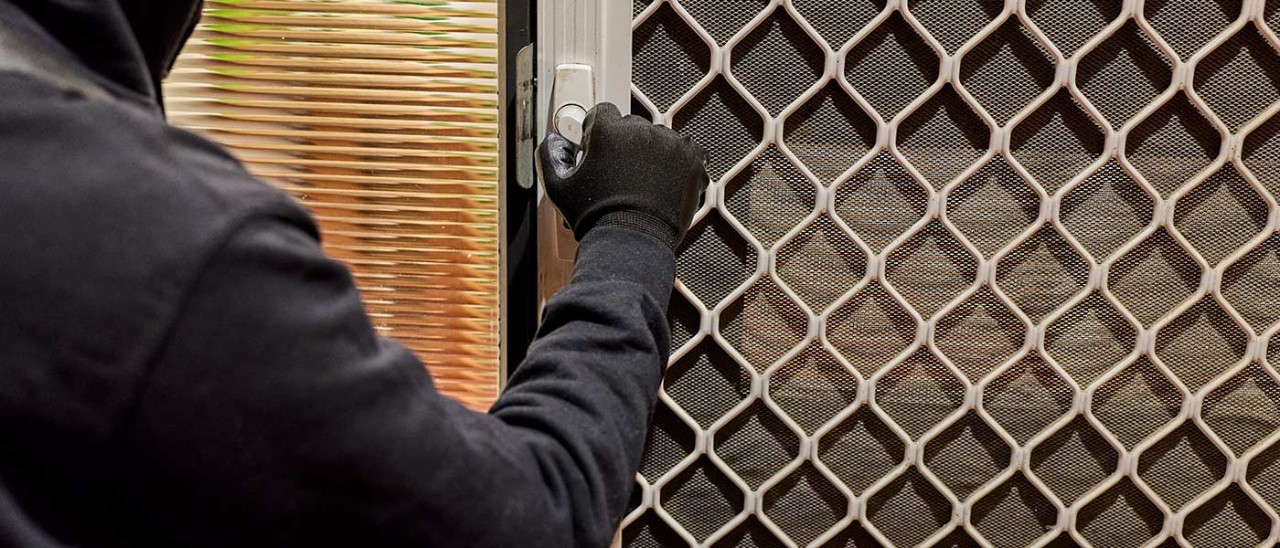 Burglar opening grille-insert security door