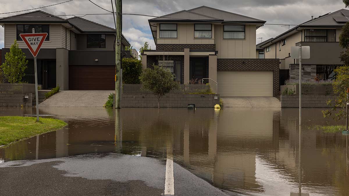 Gumboots standing in flood waters.