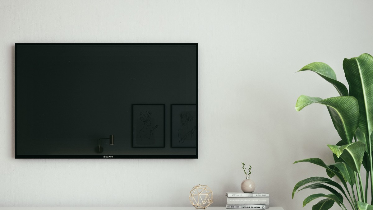 off television on white wall next to plant