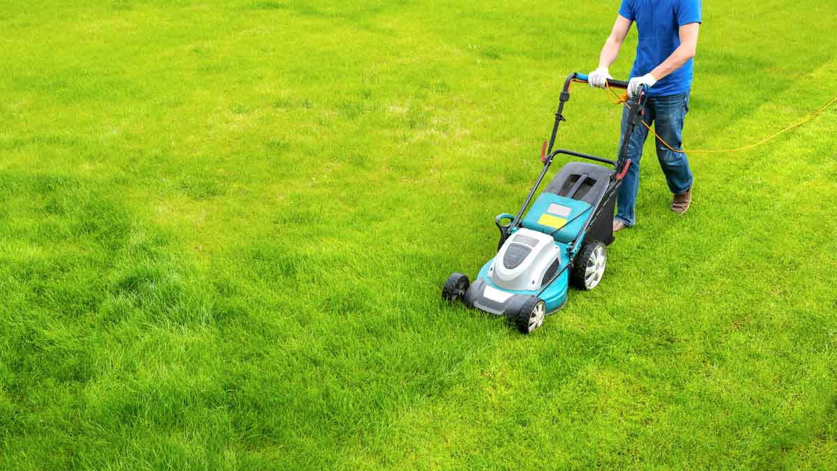 man mowing grass with electric lawn mower