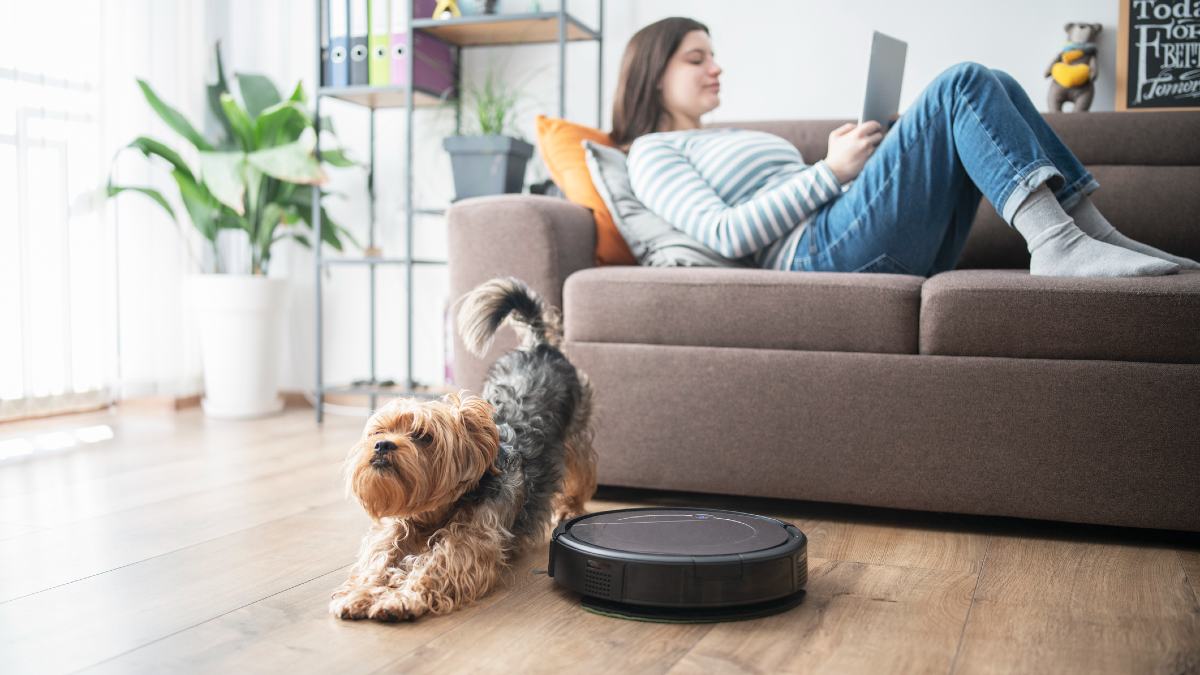 A dog stretches next to a black robot vacuum cleaner as a woman relaxes on a couch