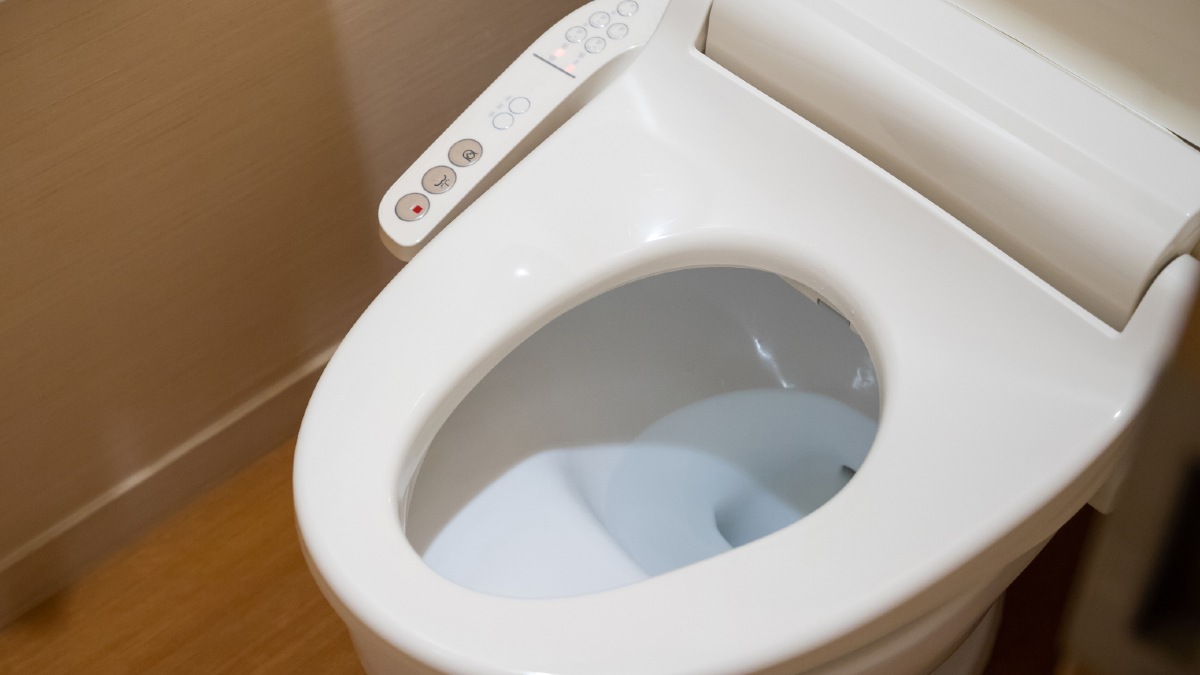 Japanese toilet seat