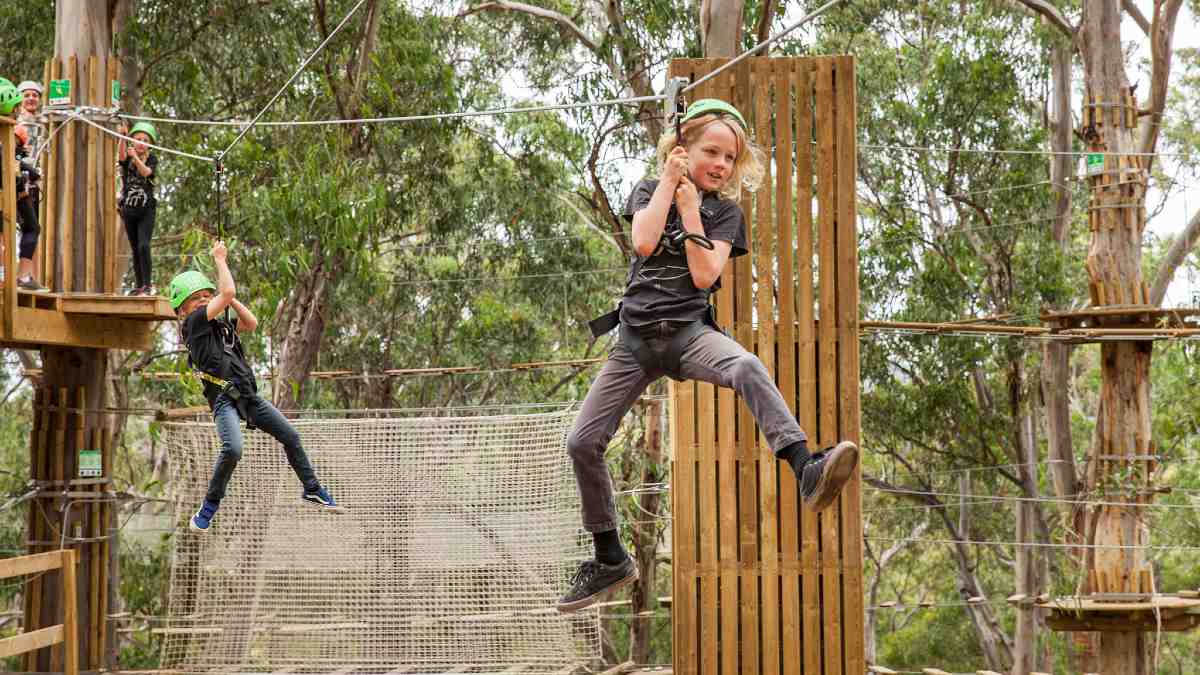 Kids happily swinging on ropes between platforms on trees at Live Wire Park