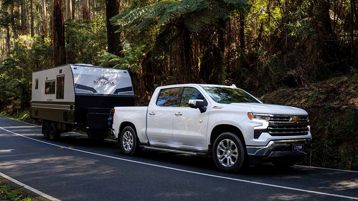 White Chevrolet Silverado 1500 LTZ pick-up towing caravan through rainforest with tall gum trees and ferns at roadside.