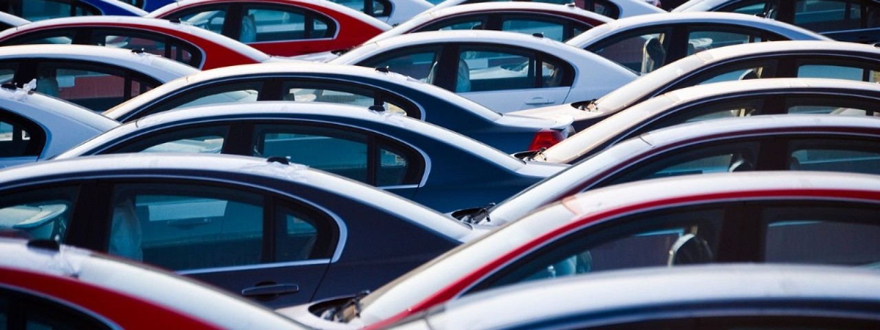 rows of cars in a car yard