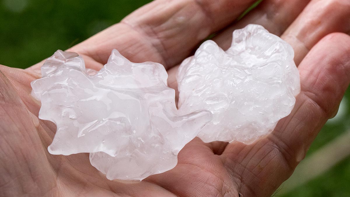 Close-up of a hand holding two giant hailstones.