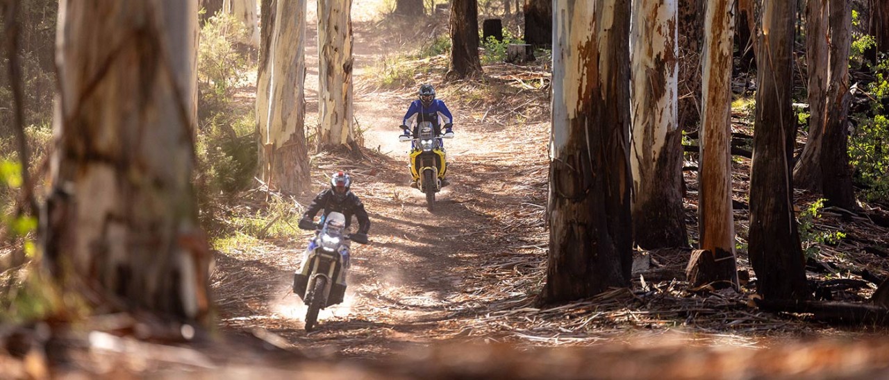 Yamaha-motorcycles-2025-Tenere-Rally-015-banner-1400x600 Two motorcyclists riding through sunlit forest trail lined with tall gum trees