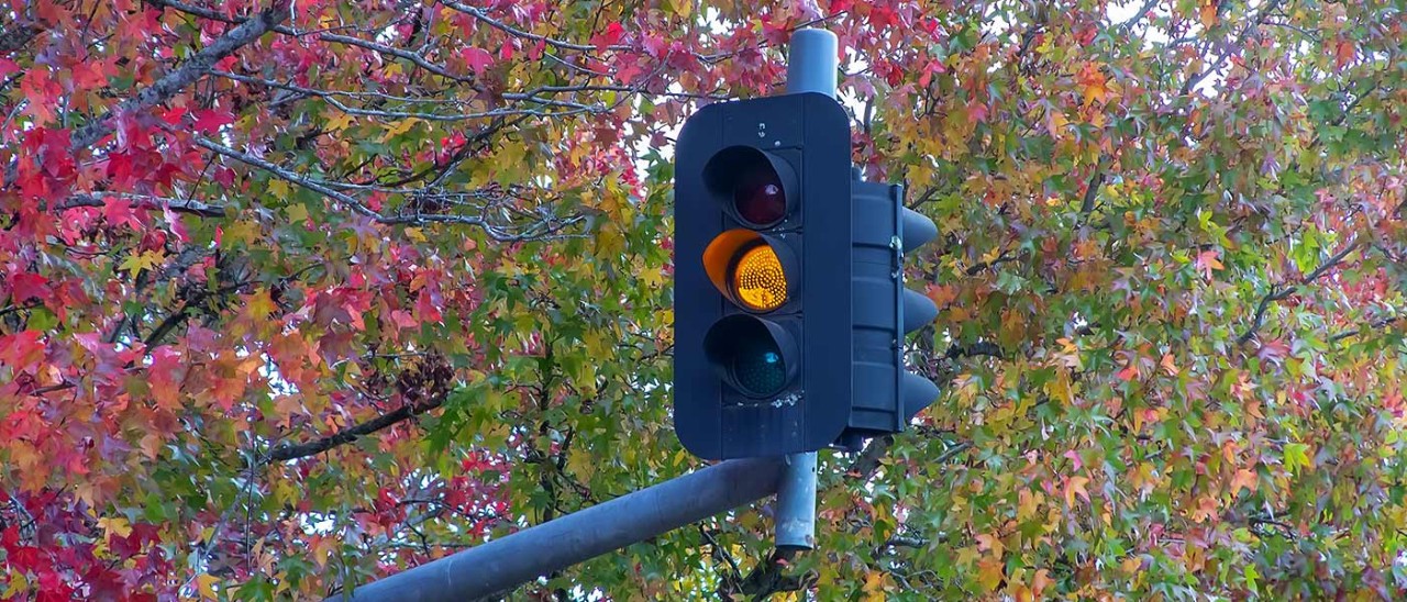 Traffic-light-Getty-2172278673-banner-1400x600 Overhead traffic light showing yellow light with colourful autumn leaves in background