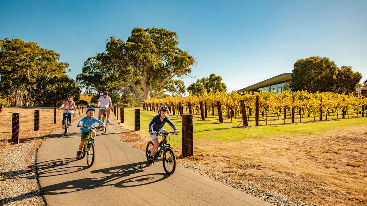 Barossa Valley Wine trail