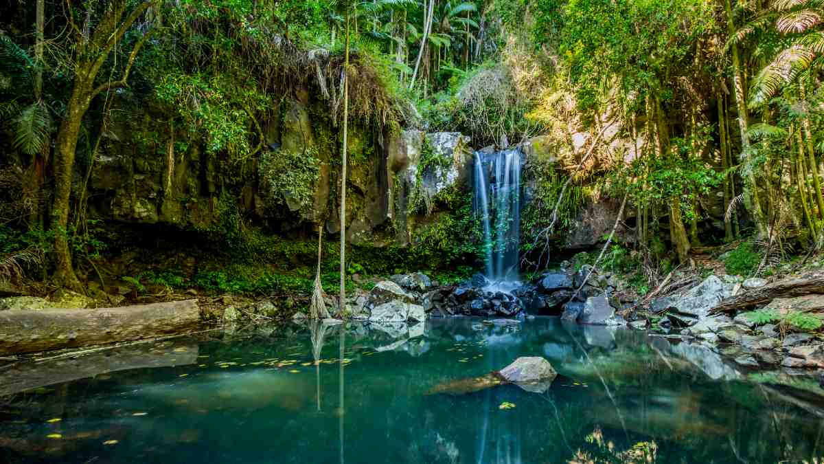 beautiful waterfall and swimming hole in rainforest