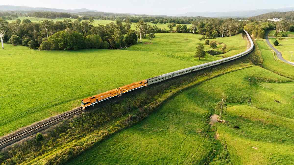 passenger train crossing a lush grassy area