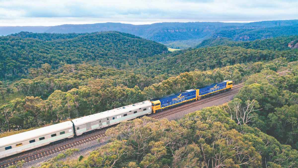 train travelling through rainforest area