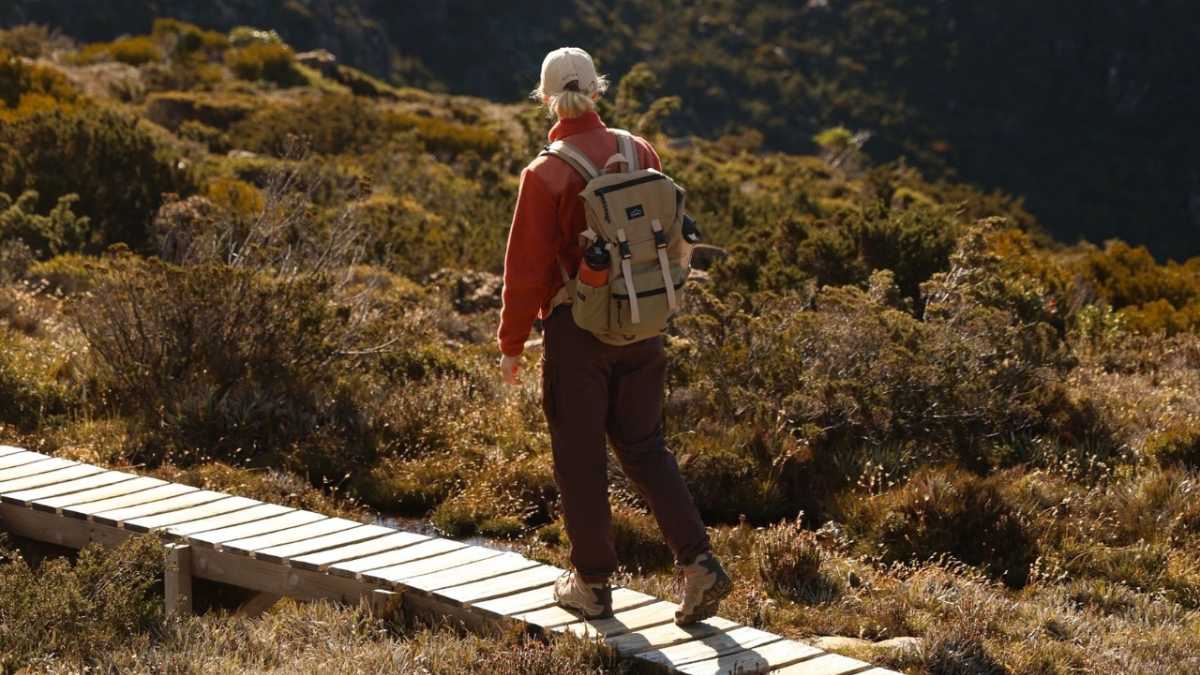 woman hiking on a boardwalk through heath