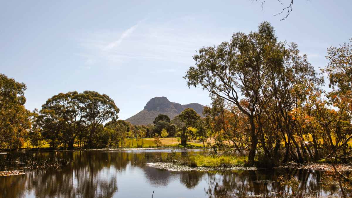 lake with native trees and mountain in background