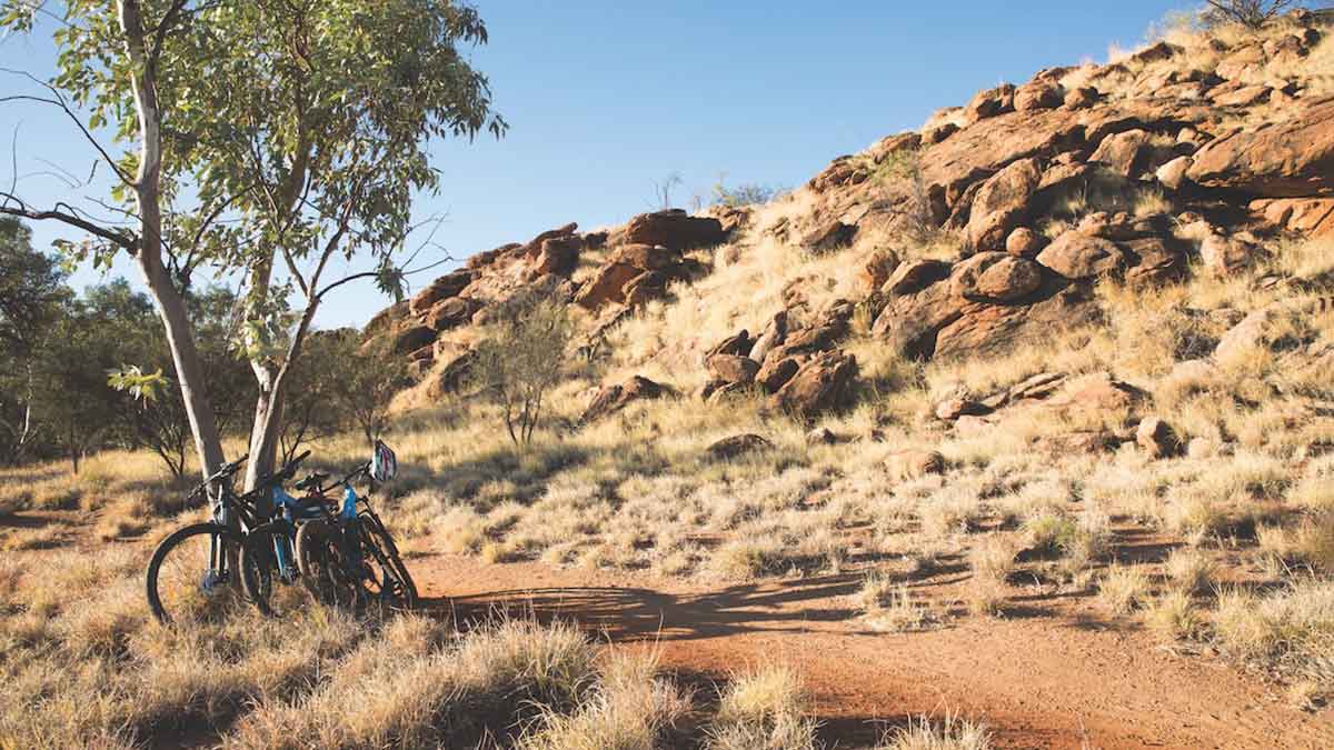 Three bikes lean against a tree alongside a craggy Outback track in Alice Springs.