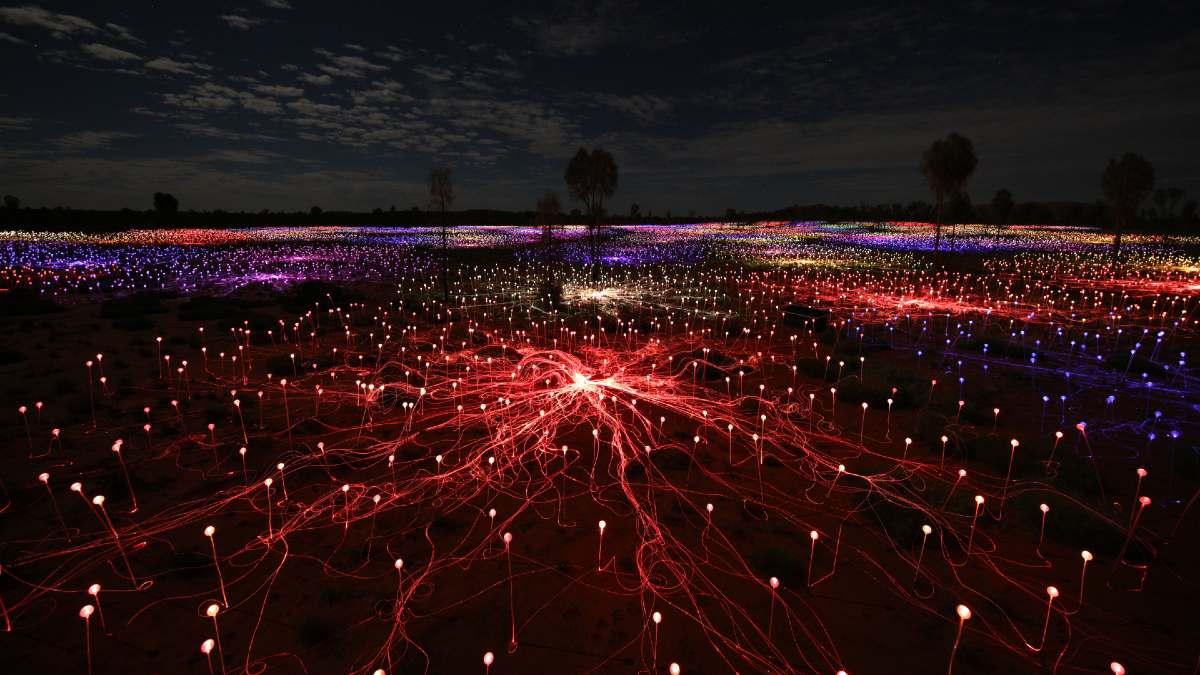 landscape shot of Field of Light installation