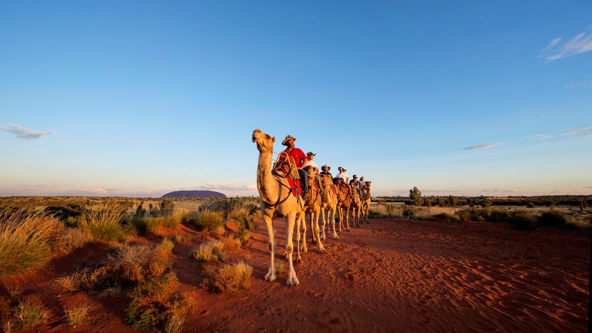 group of cameleers in the outback