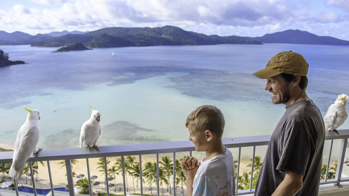 father and son on hotel balcony overlooking tropical bay; three cockatoos are standing on the rail