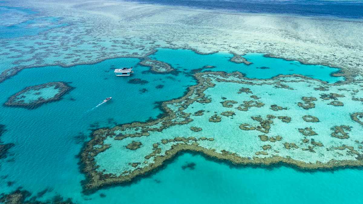two boats on a reef