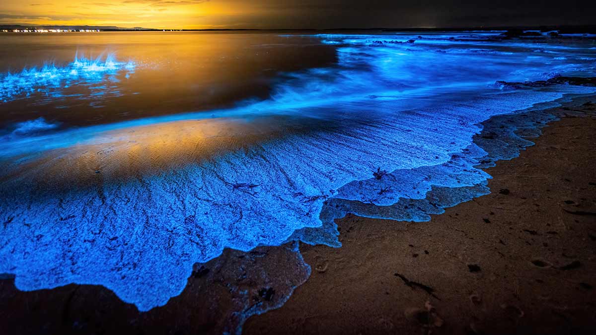 Scenic view of Australia's Jervis Bay at night with sparkling blue sea.