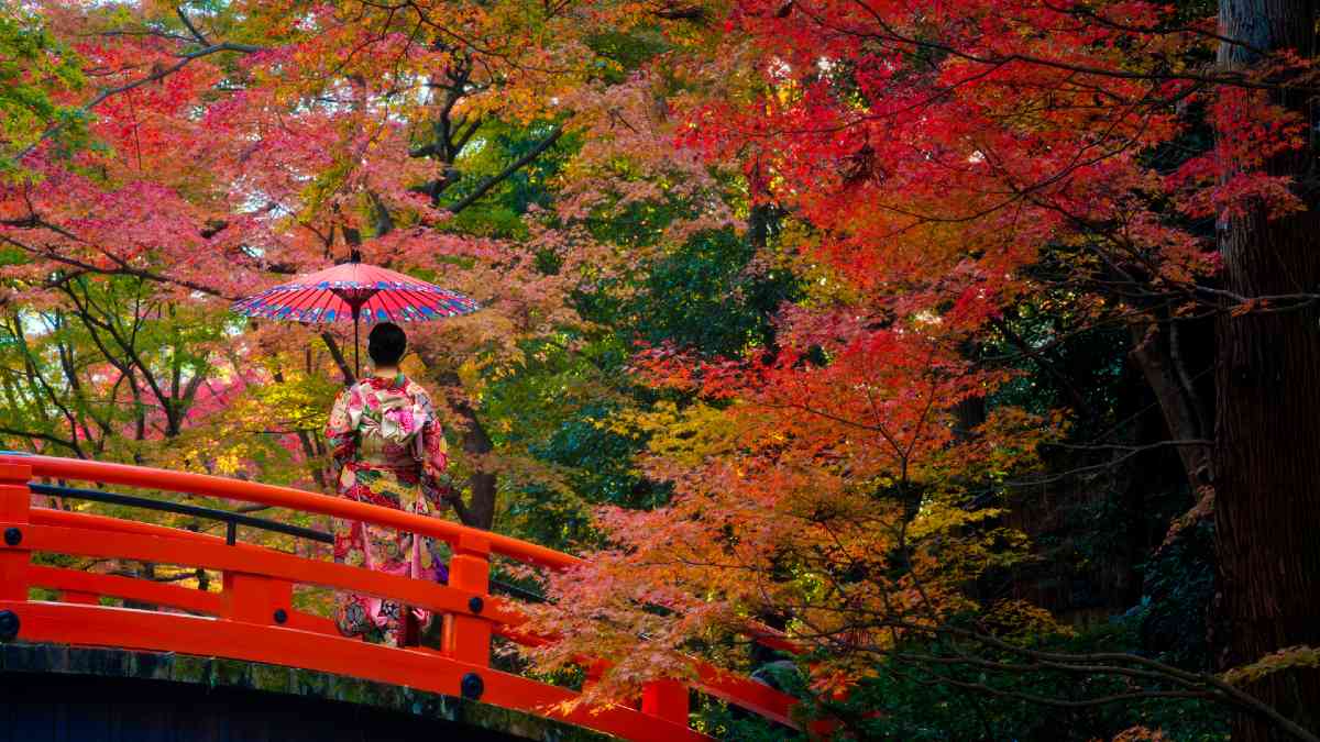 autumn leaves in Japan with a woman in traditional Japanese dress standing on red bridge