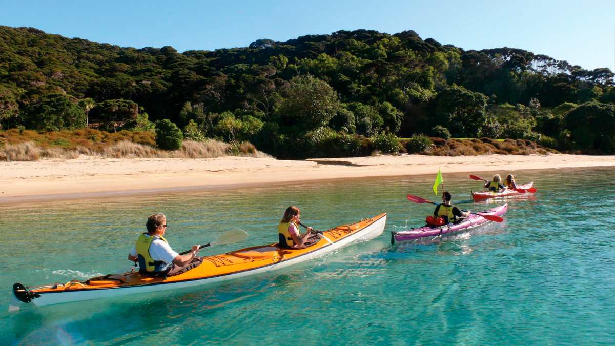 people kayaking on the ocean