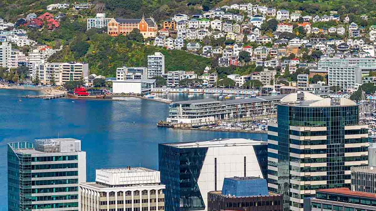 Panoramic view of Wellington in New Zealand