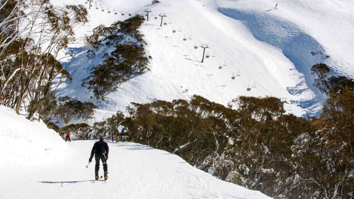 skiers on the slopes at Mt Hotham, Victoria