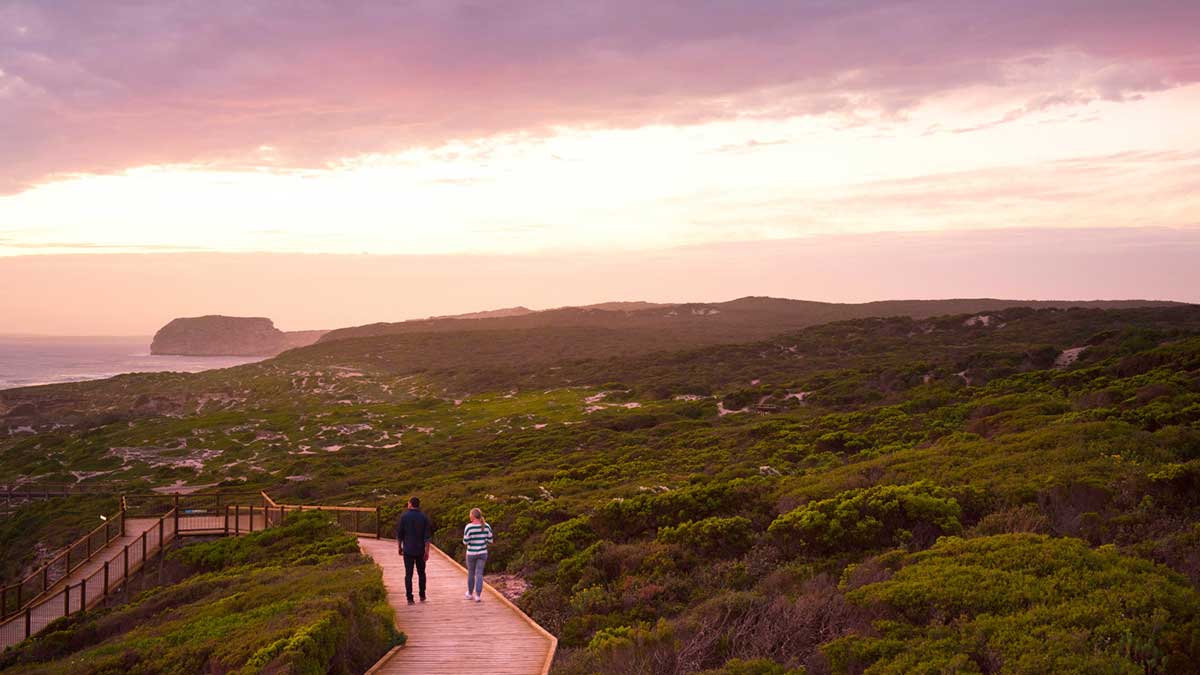 two people walking on boardwalk near ocean