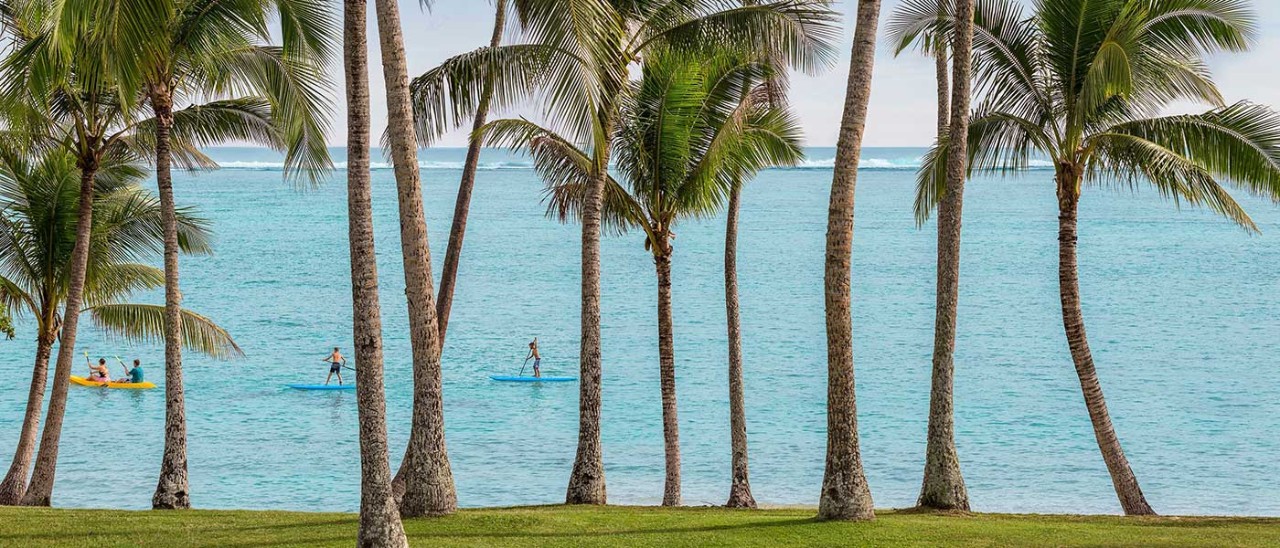 Row of palm trees with paddleboarders in distance in Fiji