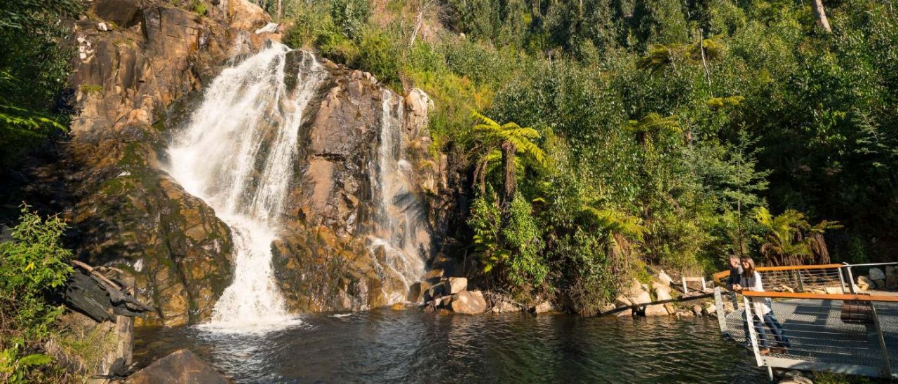 Two people admiring Steavenson Falls from a fenced viewing platform