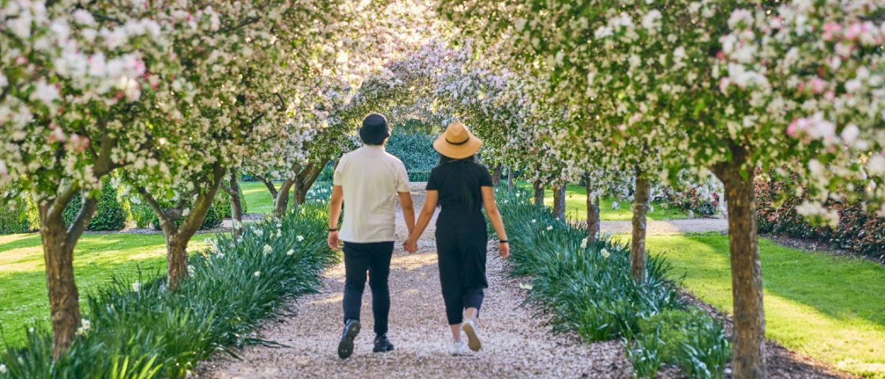Alowyn Gardens, Yarra Valley_Matt Harvey couple walking hand in hand on gravel garden path under blossoming trees
