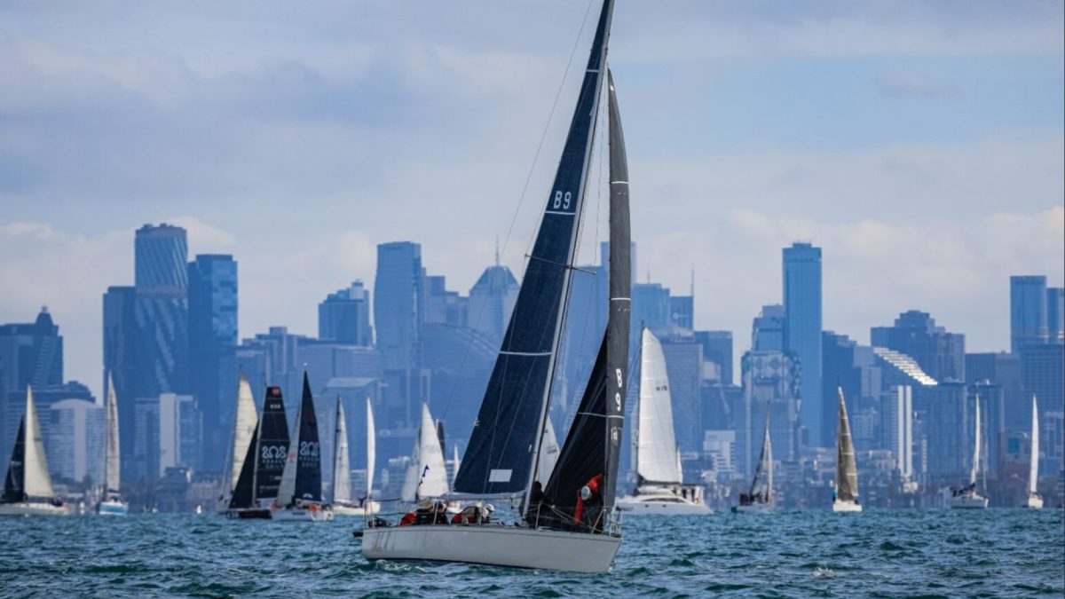 sailboats on ocean with city skyline