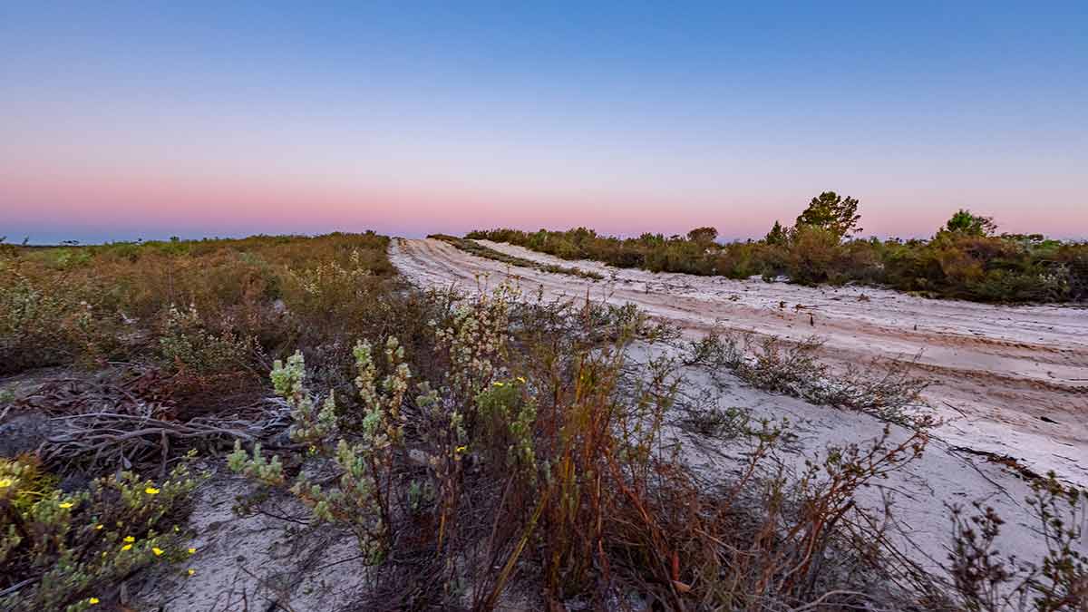 Sandy road with desert scrub in Western Victoria