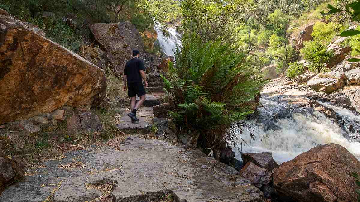Man walking towards Mackenzie Falls