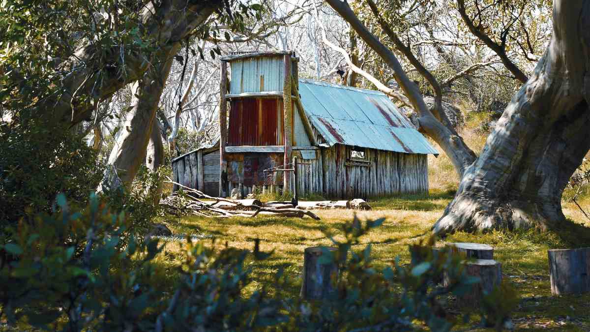 rustic timber hut in the mountains
