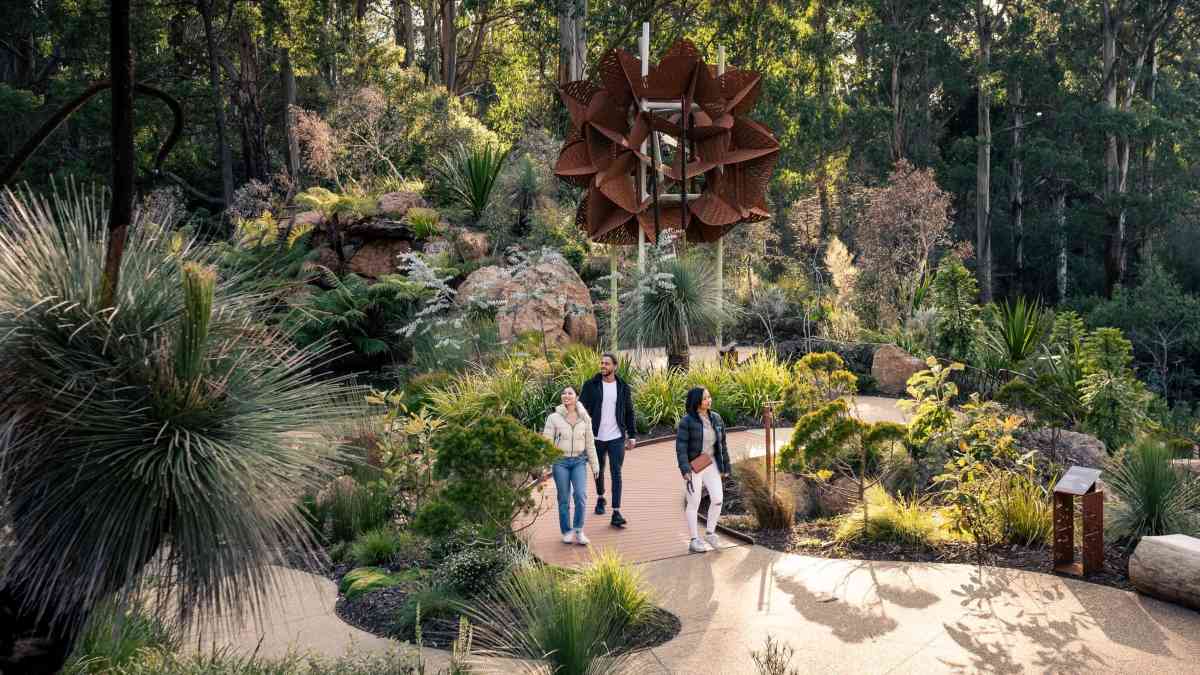 People walking through the Chelsea Australian Garden at Dandenong Ranges Botanic Gardens
