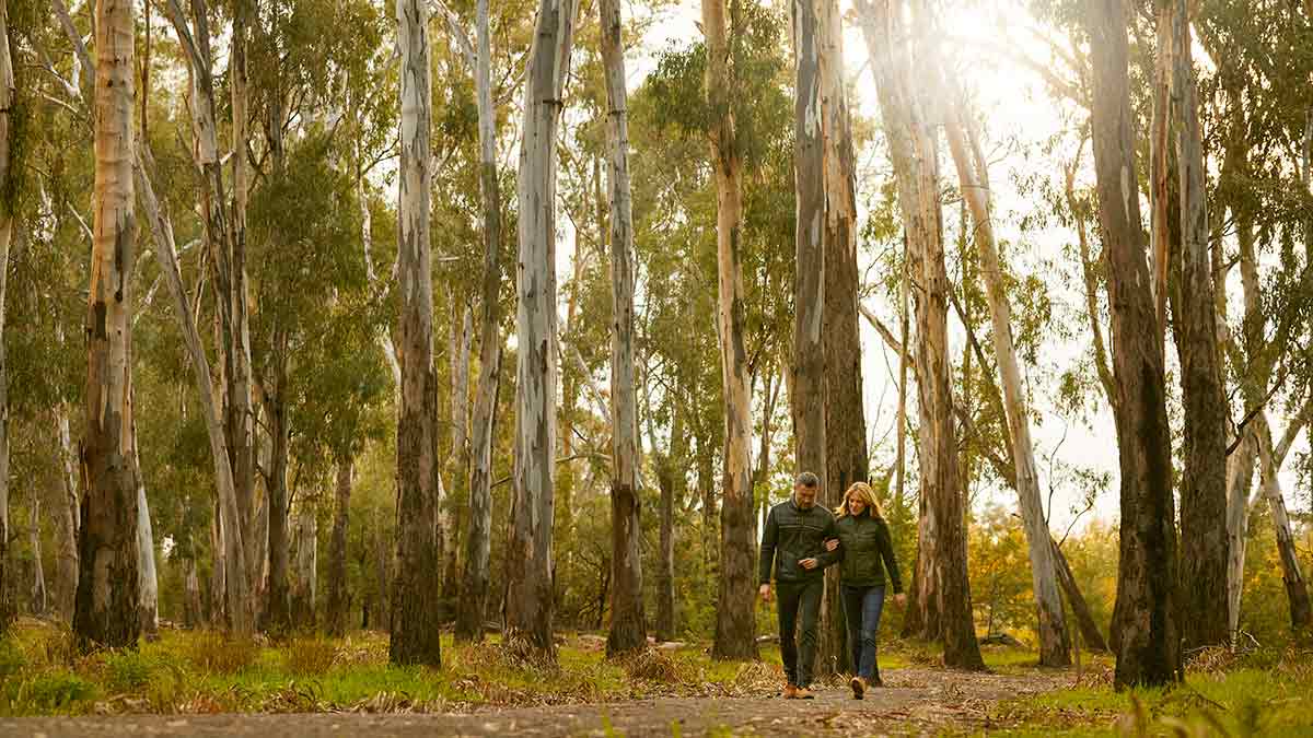 Couple walking in bush surrounded by tall eucalypts near Cobram on the Murray River.