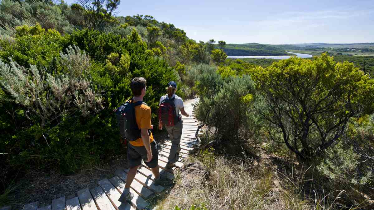 young man and woman hiking on a boardwalk through bushland
