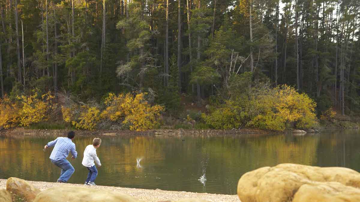 St George Lake Creswick