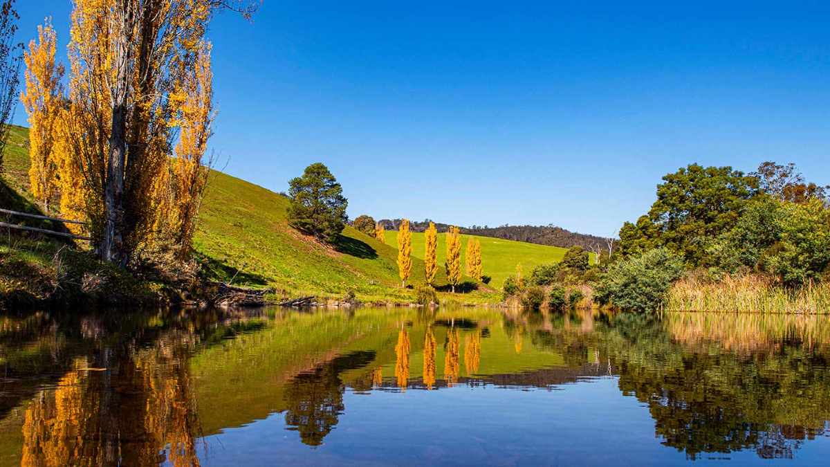 Reflections on Tambo River