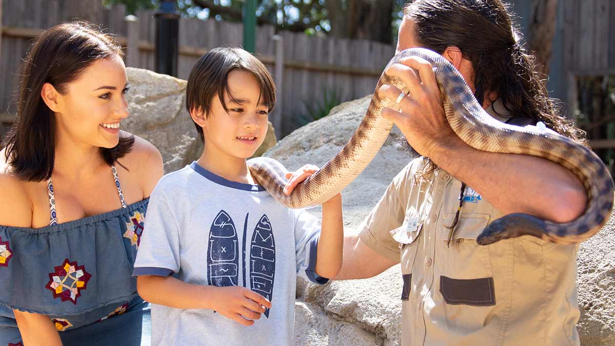 Mother and boy interacting with snake handler and python at adventure park.