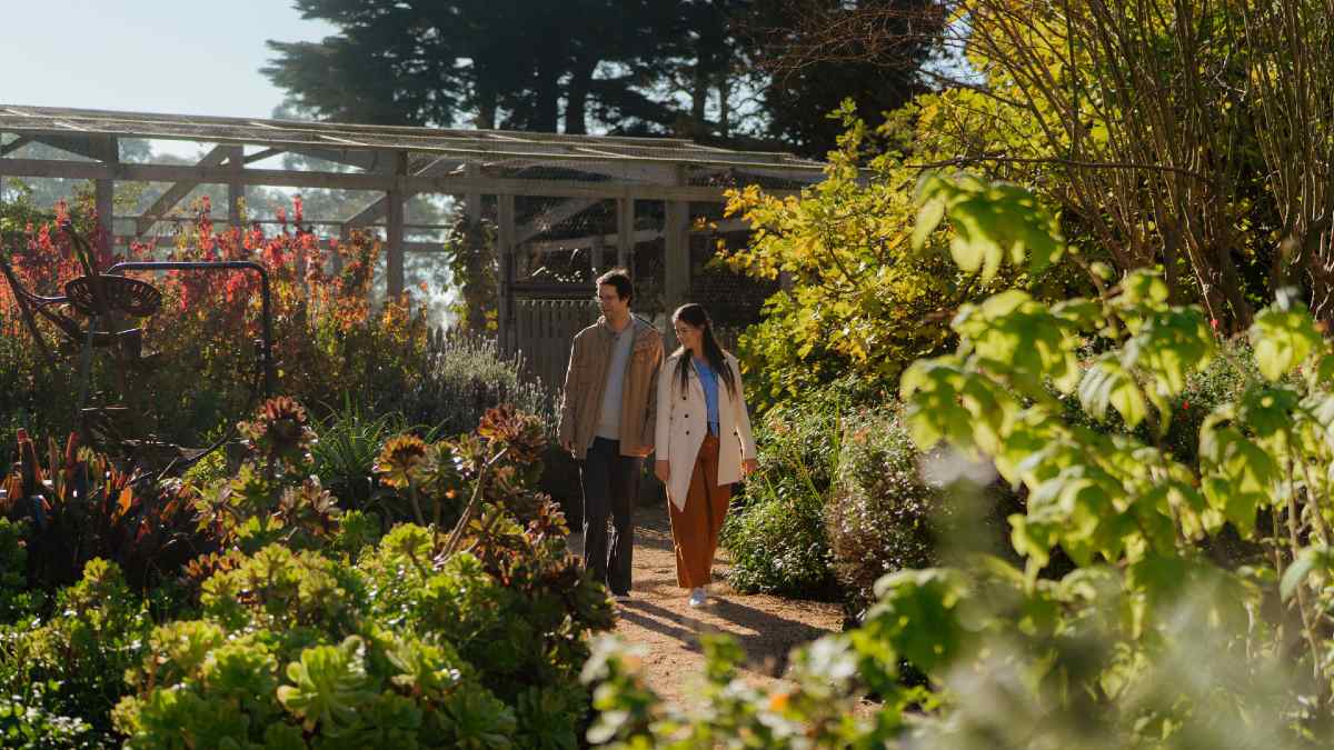 man and woman walking in a farm garden