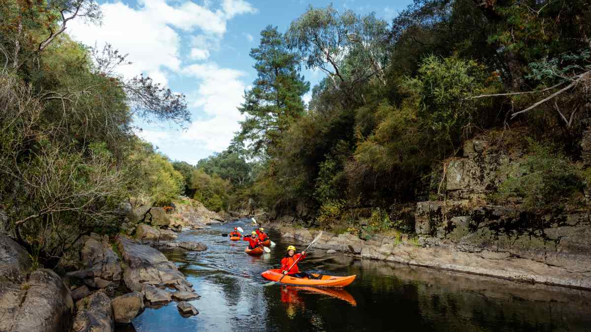 people kayaking down a river in bright hi-vis safety floation vests