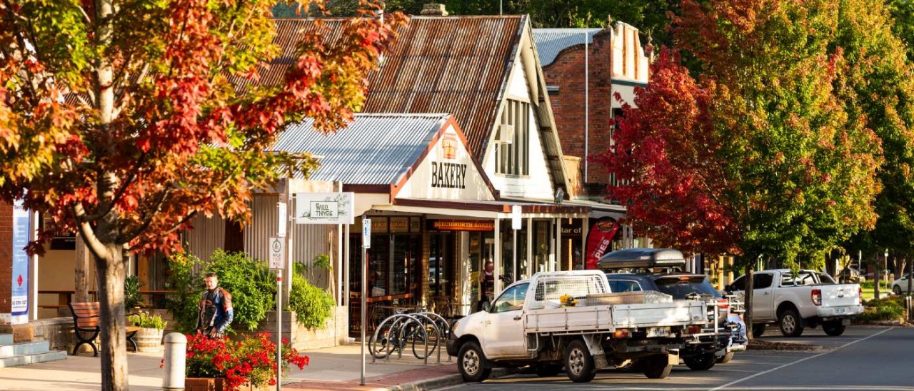 Bright, High Country_Visit Victoria street in Bright with stores, parked cars and autumn trees