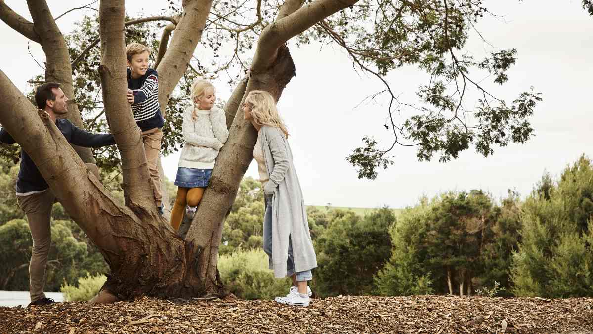 two kids in tree with their parents smiling at them nearby