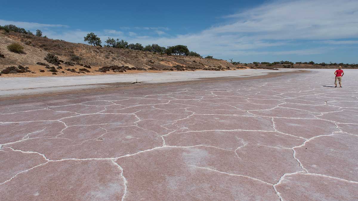 Person standing on one of the Pink Lakes in Murray-Sunset National Park.