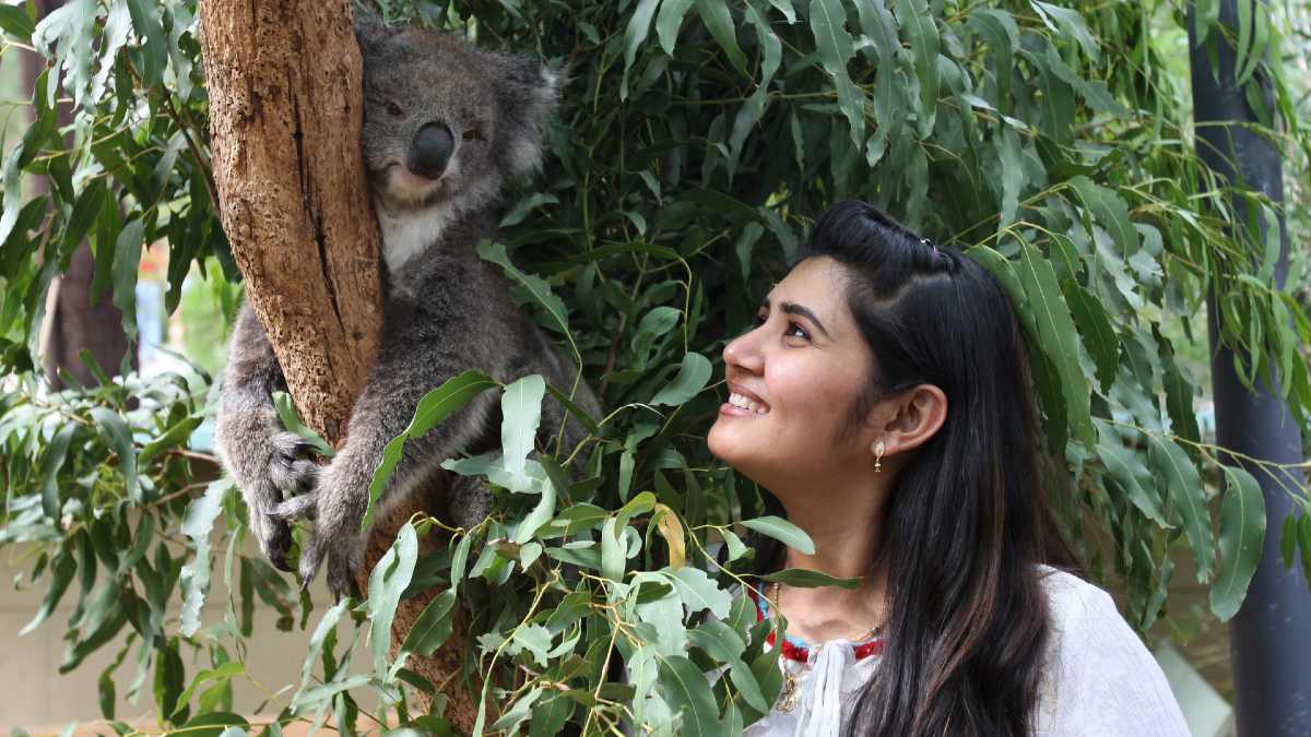 woman looking at koala up close