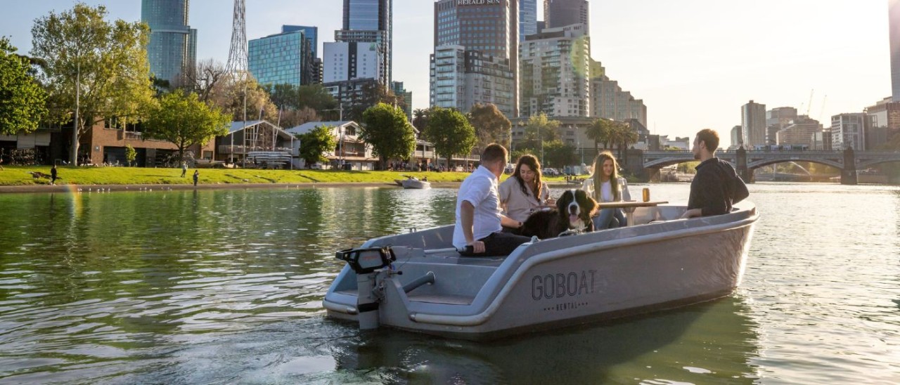 four friends and their dog on a hire board on the Yarra River in Melbourne with city skyline behind